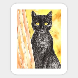 Black cat Sticker